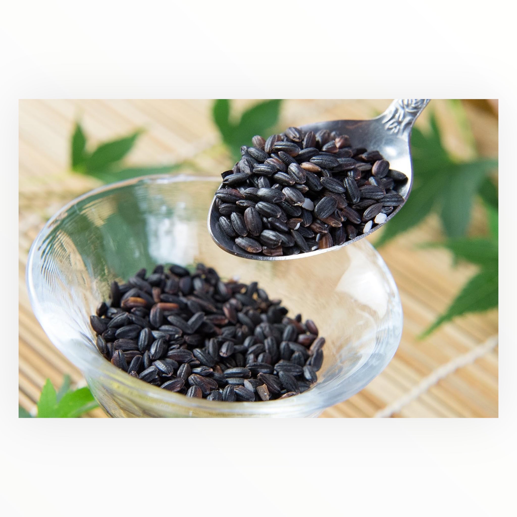 Kyushu Natural Shiraki Black Rice from Kumamoto 450g