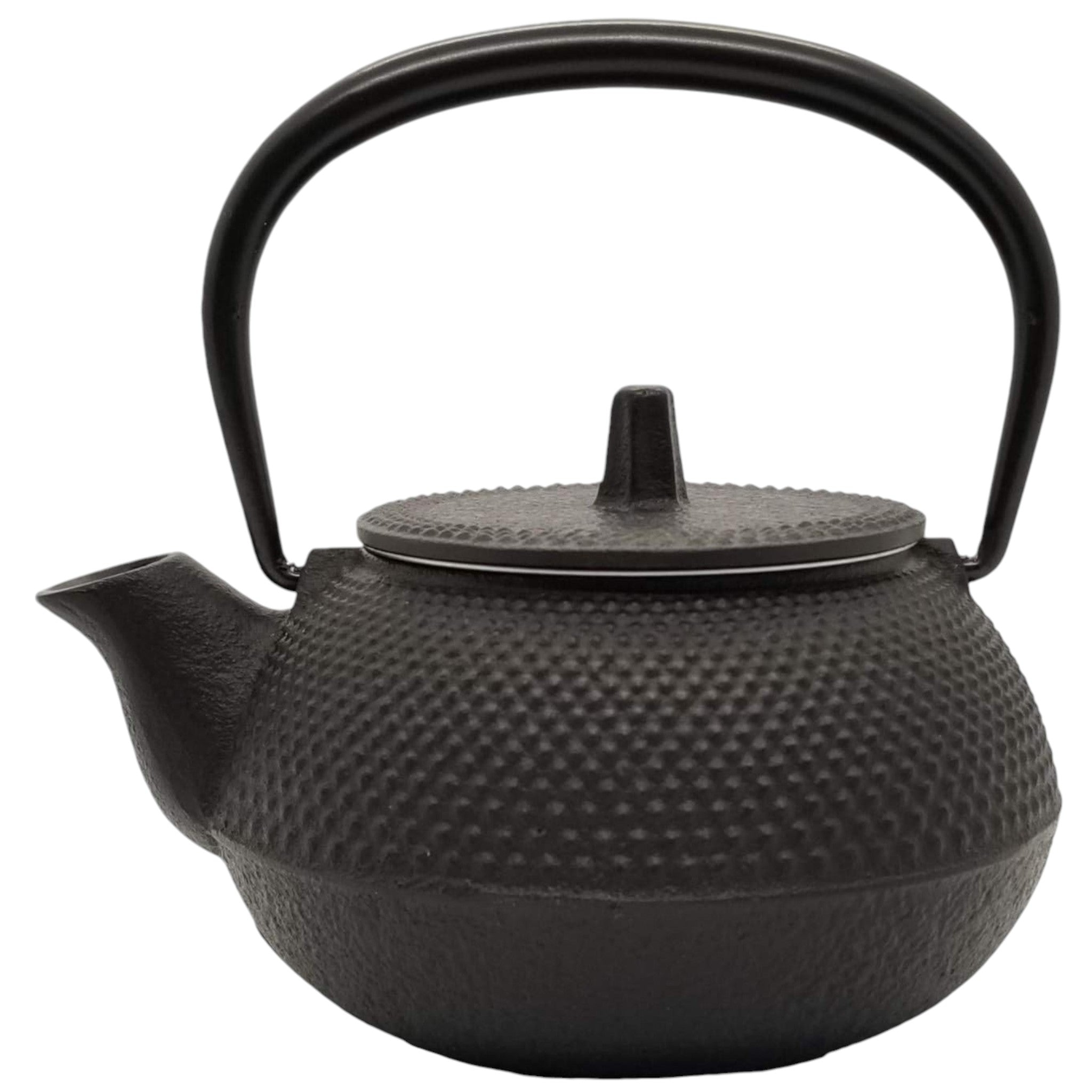 Iwachu Cast Iron Kettle & Teapot 0.32L โ Black