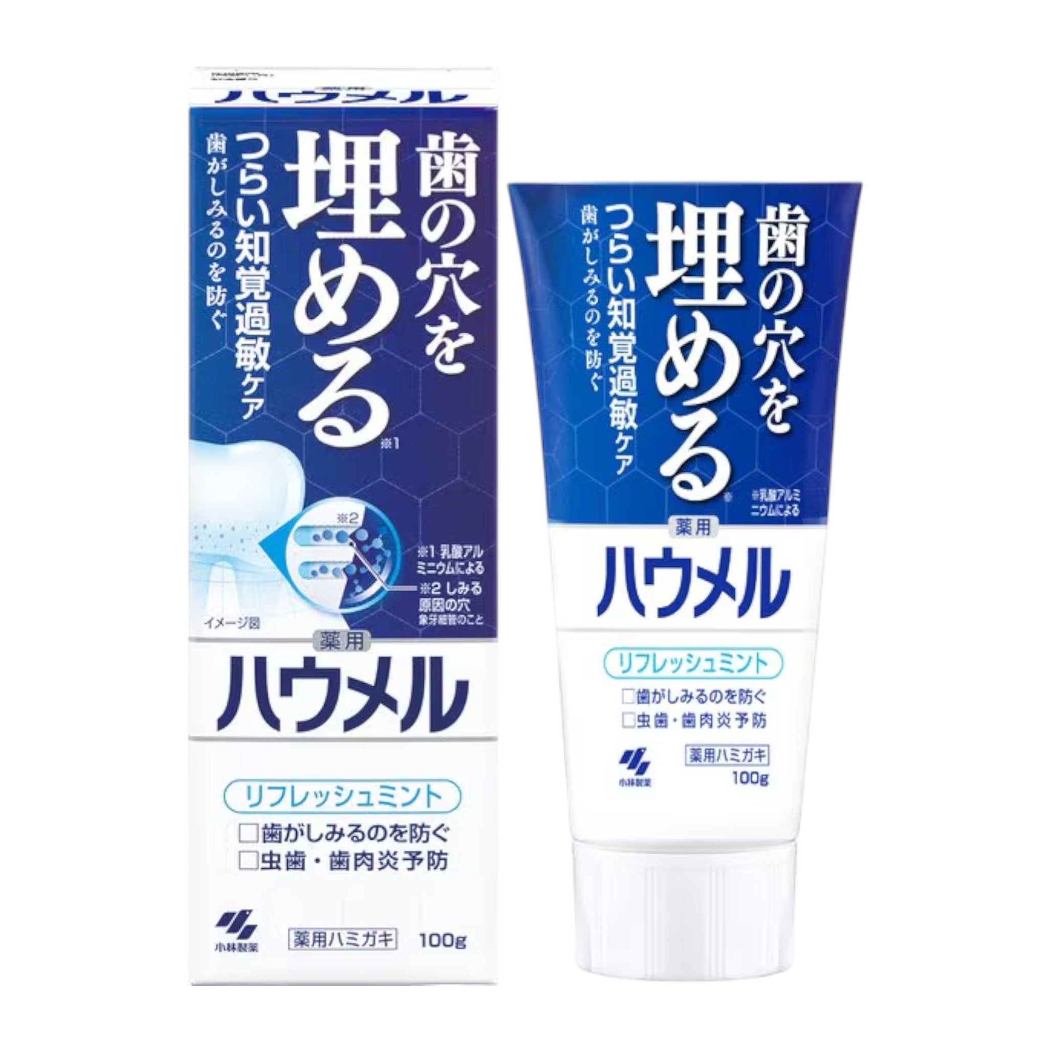 Haumel Hypersensitivity Care Toothpaste 100g