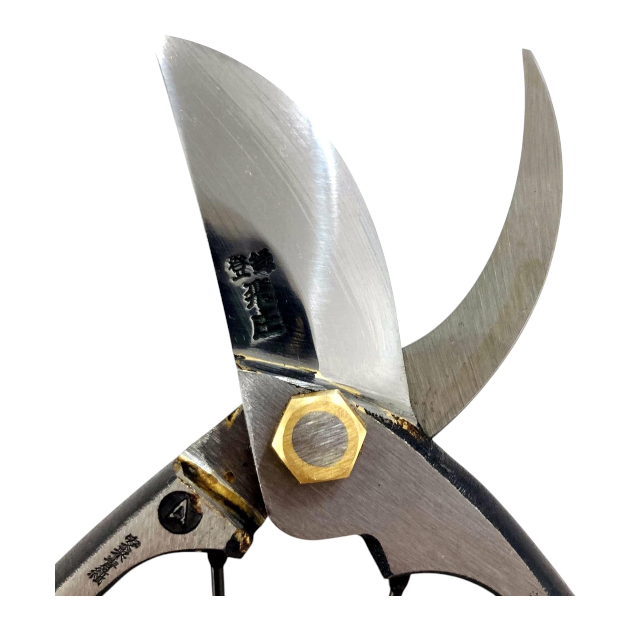 Tobisho Pruning Shears Braised A Type Blue Paper Steel 200mm PS-06