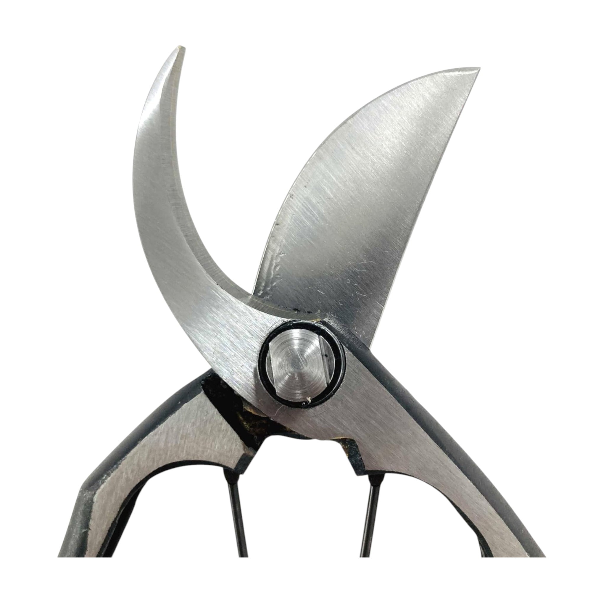 Tobisho Pruning Shears Braised A Type Blue Paper Steel 200mm PS-06