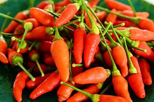 Shinjou Koregusu Extra Hot 150g