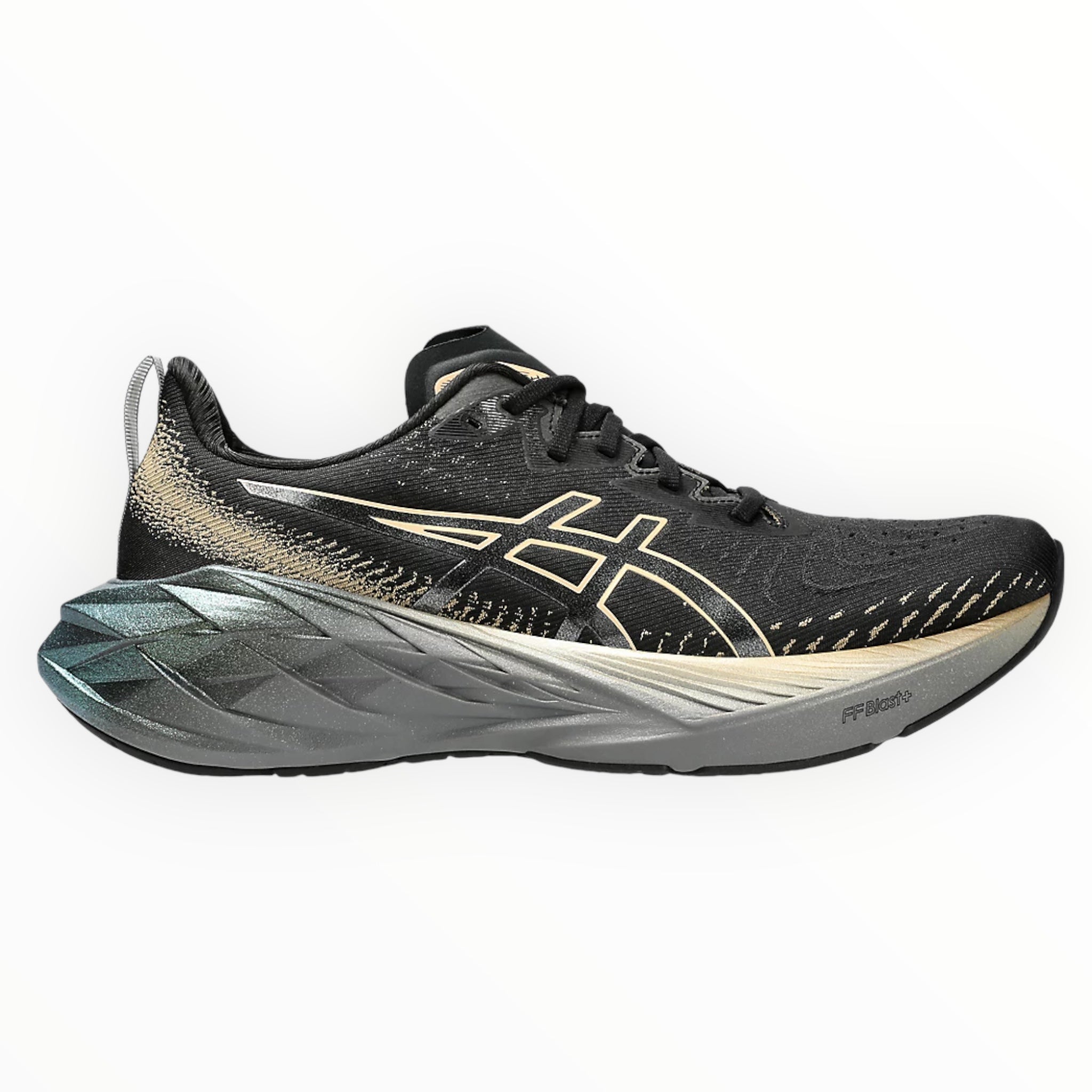 ASICS NOVABLAST 4 PLATINUM Men s Running Shoes highplacejp