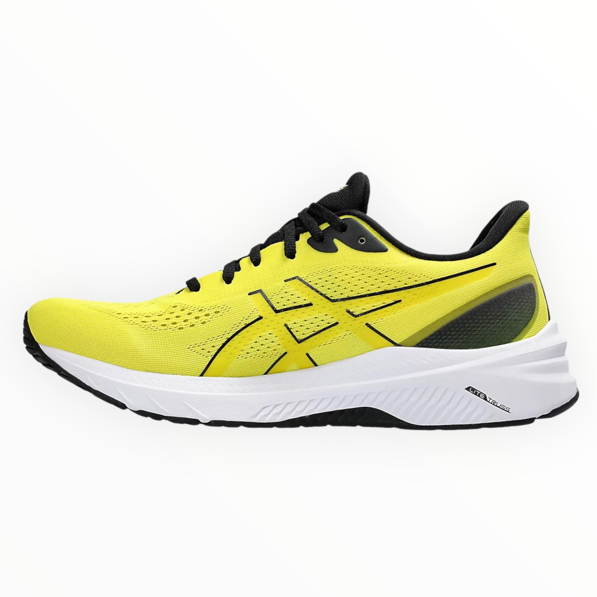 ASICS GT-1000 12 Men's Running Shoes