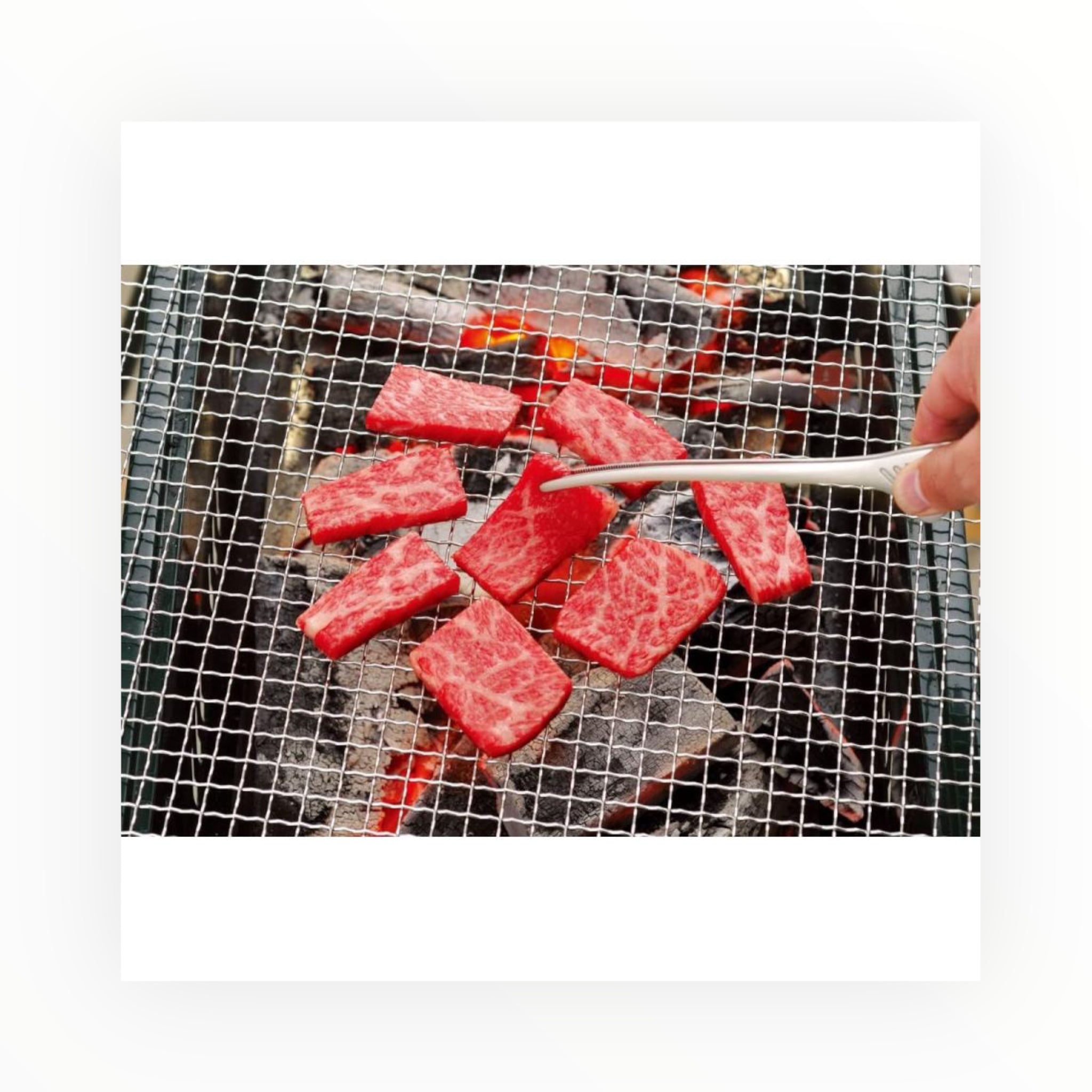 Todai Stainless Steel Yakiniku BBQ Clever Tongs 240mm